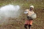 Unequal use of fertilizers and pesticides