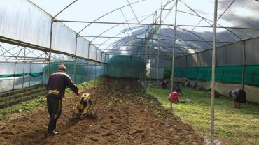 Adoption of Integrated Organic Farming System by States
