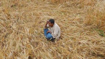 Use of Modern Technology for Assessing Damage to Crops