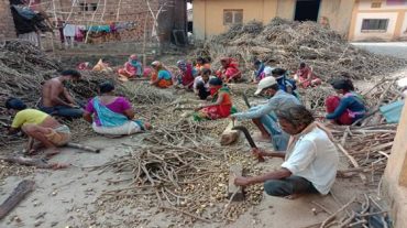 Van Dhan Vikas Kendras in Maharashtra lead in innovative initiatives to help tribal gatherers during ongoing Covid crisis
