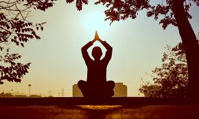 Ministry of Tourism dedicates the webinar of Dekho Apna Desh series to “Yoga and Wellness”
