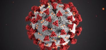 Update on New Strain of novel Coronavirus from U.K.  Total number of infected now stands at 38