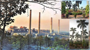 NTPC’s oldest unit at Singrauli records highest PLF so far in current fiscal