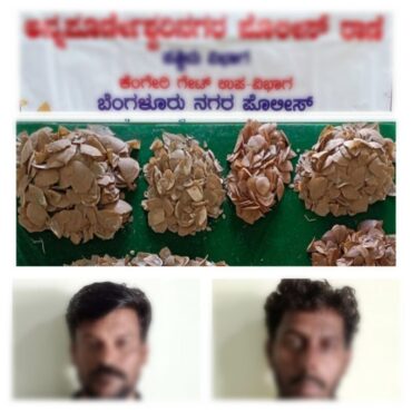 Two poachers held,8.2 kgs of Pangolin Shells Seized by Annapoorneshwari Nagar police
