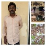 One held by Kalasipalya Police,Rescued 380 ‘Endangered’ Indian Star Tortoises in Bengaluru from illegal wildlife trade