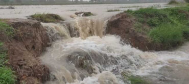 Heavy rains: Heavy rains in Telugu states.. Rivers are overflowing