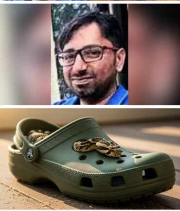 Bengaluru software engineer dies after being bitten by snake coiled in his Crocs