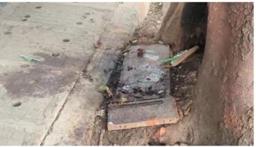 Man from Himachal Pradesh found dead under roadside tree with his throat slit in JP Nagar