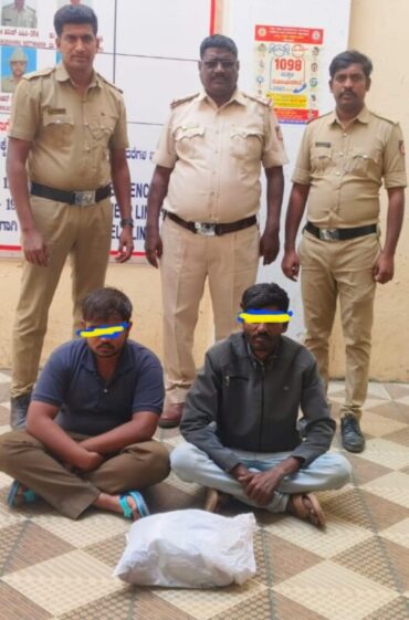 Two Drug peddlers arrested by Bagepalli police,3.5 kg Ganja worth Rs.1.75 Lakhs seized