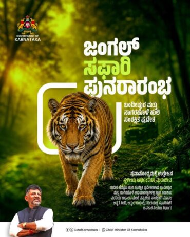 Jungle Safari (Park Excursion)at Bandipur and Nagarahole to Be Fully Reopened says CM DK Shivakumar