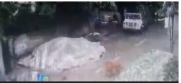 Four-Year-Old Girl Injured in Stray Dog Attack in Bengaluru Four-Year-Old Girl Injured in Stray Dog Attack in Bengaluru