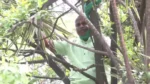 Karnataka Farmer Tries to End Life Near Assembly Over Land Compensation Row