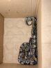 Python Found Kept Illegally in Bengaluru Apartment;One Detained Python Found Kept Illegally in Bengaluru Apartment;One Detained