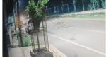 Leopard Sighting in West Bengaluru Triggers Search Operation