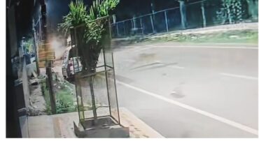 Leopard Sighting in West Bengaluru Triggers Search Operation