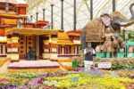 Plans to build 3 Lalbagh-style parks in Bengaluru: CM DK Shivakumar Plans to build 3 Lalbagh-style parks in Bengaluru: CM DK Shivakumar