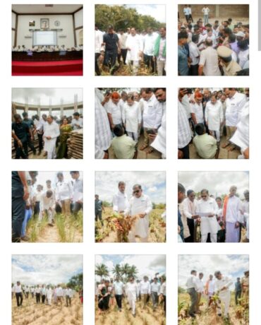 DyCM Visits Kanchugara Koppalu Village in K.R.Nagar to Assess Drought Situation