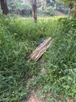 Minor boy Found Murdered Near Vibhutipura Lake in Bengaluru