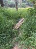 Minor boy Found Murdered Near Vibhutipura Lake in Bengaluru Minor boy Found Murdered Near Vibhutipura Lake in Bengaluru