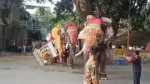 Panic at Dasara Procession Elephant Somanna Runs Amok in Shivamogga;Silver Howdah Damaged Panic at Dasara Procession Elephant Somanna Runs Amok in Shivamogga;Silver Howdah Damaged