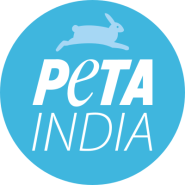 PETA offers mechanical elephants to Karnataka after Shivamogga dasara incident