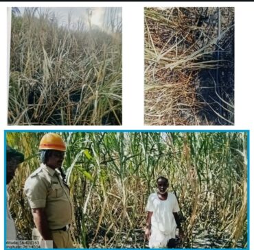 Lokayukta registers Suo Motu case over fire that destroyed crops worth Rs 50 lakh;11 officials issued notices Lokayukta registers Suo Motu case over fire that destroyed crops worth Rs 50 lakh;11 officials issued notices